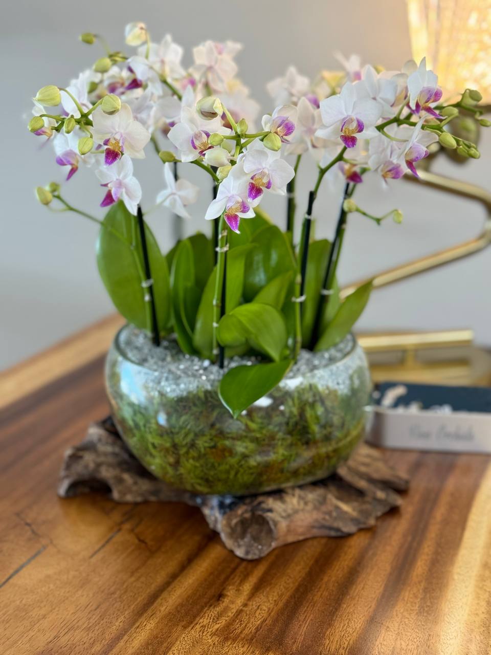 Elevate Your Flower Arrangements with Orchids